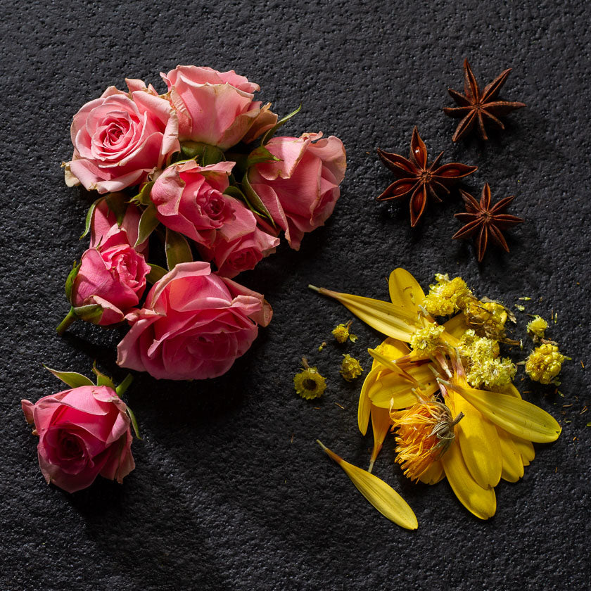Wild Chick Skincare products contain 100% plant-based ingredients